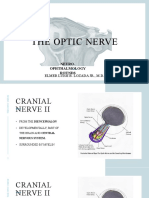 The Optic Nerve v.1