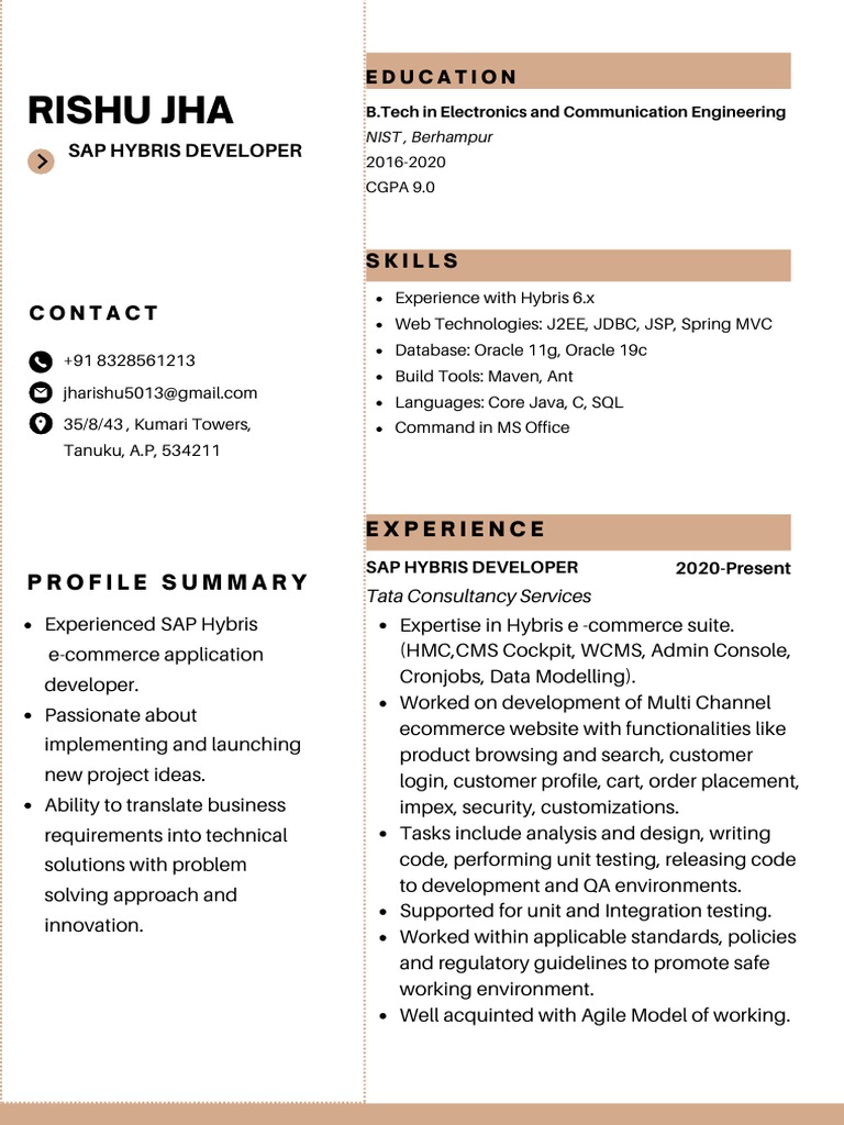 SAP Hybris Developer Profile Summary | PDF | Computers