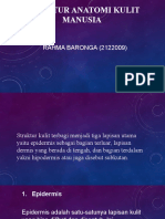 (Struktur Anatomi Kulit Manusia) RAHMA BARONGA