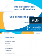 II. Schema Directeur Des Ressources Humaines