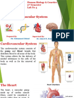 Human Bio Lab 4 Cardio