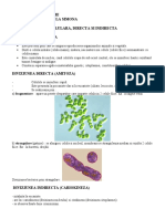 Referat Diviziunea Celulara, Embriologie