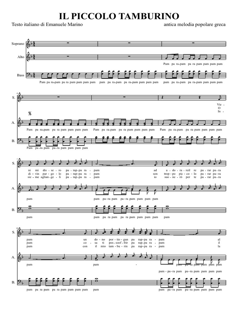 Il Piccolo Tamburino PDF