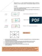 Apuntes Tema 1