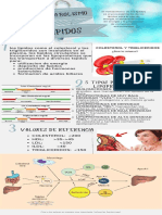 Metabolismo de Los Lipidos