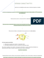 Resumos Biologia 11 Ano 4ºteste