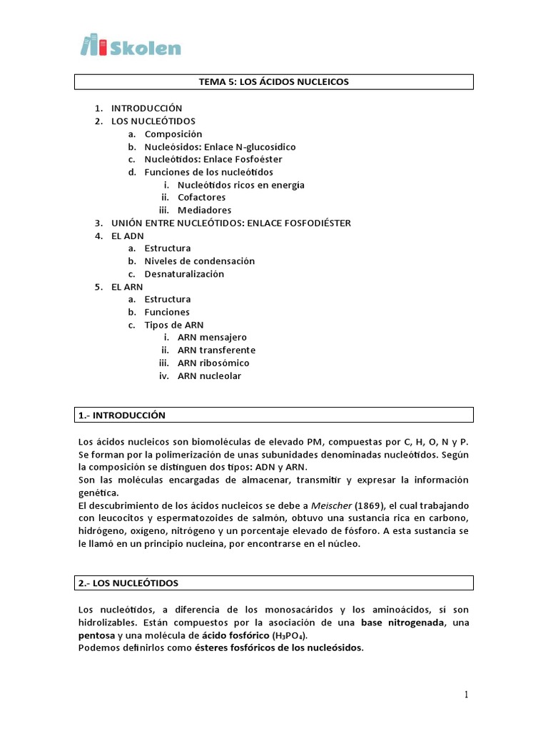 Tema 5 Ácidos Nucleicos | PDF | Rna | Nucleótidos