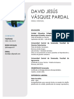 M.V. David Vásquez Curriculum