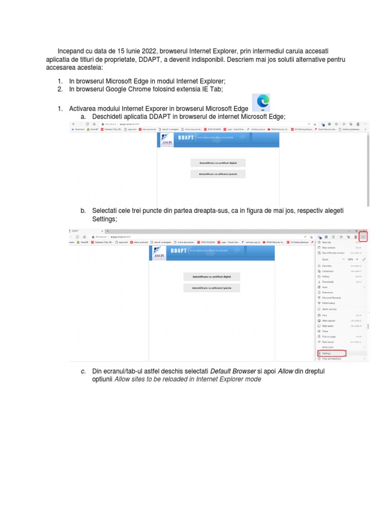 DDAPT - Instructiuni Internet Explorer v2 | PDF