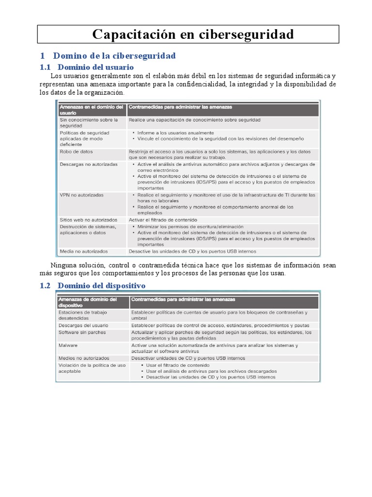 Capitulo 8. Capacitación en Ciberseguridad | PDF | Seguridad | La ...