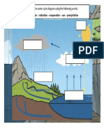 Water Cycle Worksheet Amina