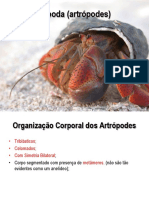 Organização e Classificação dos Artrópodes