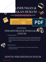 Perlindungan & Penegakan Hukum - PKN