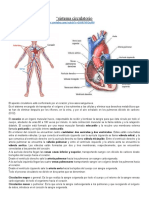 Actividad 5 - Sistema Circulatorio.-1