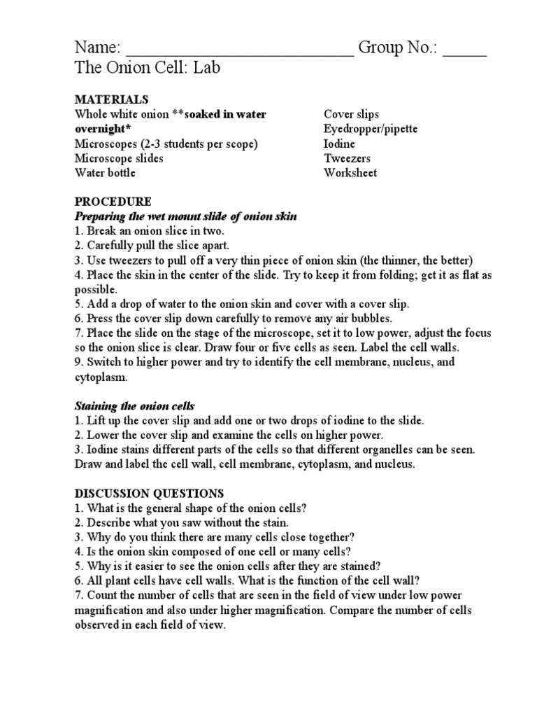 Onion Cell Pdf Cell Biology Staining