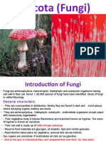 5 - Fungi