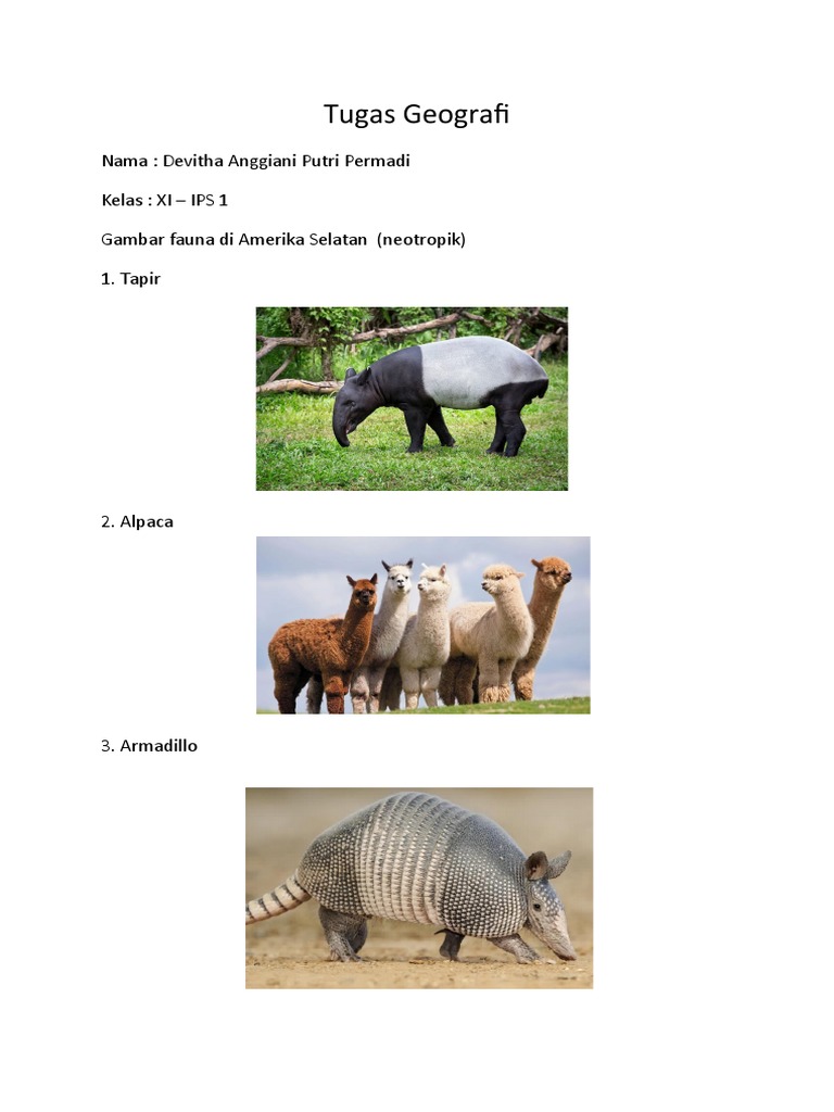 Fauna Neotropik Amerika Selatan | PDF | Sains & Matematika
