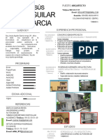 Curriculum Vitae - Jesus Agular Garcia