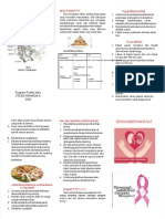 Leaflet Nutrisi CKD