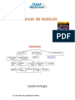 Testicular cancer: biology, diagnosis, staging and treatment update