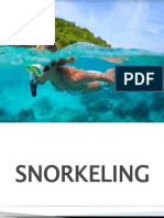 Snorkeling: A Fun Way to See the Underwater World