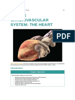 Chapter 19 - The Cardiovascular System - The Heart