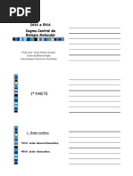 04 - DNA e replicação, transcrição e tradução