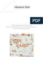 Endospore Stain