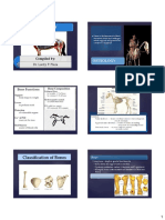 Osteology Classification