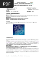 Filo 2do Semana Del 16 Al 20