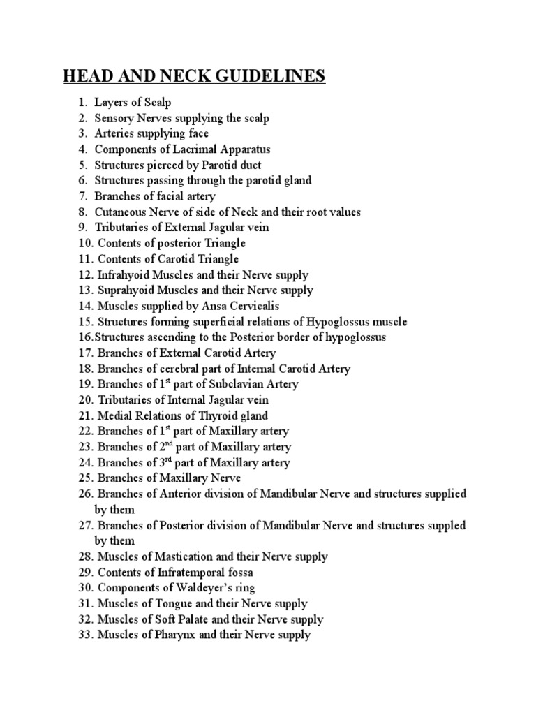 Head and Neck Guidelines | PDF | Common Carotid Artery | Human Nose