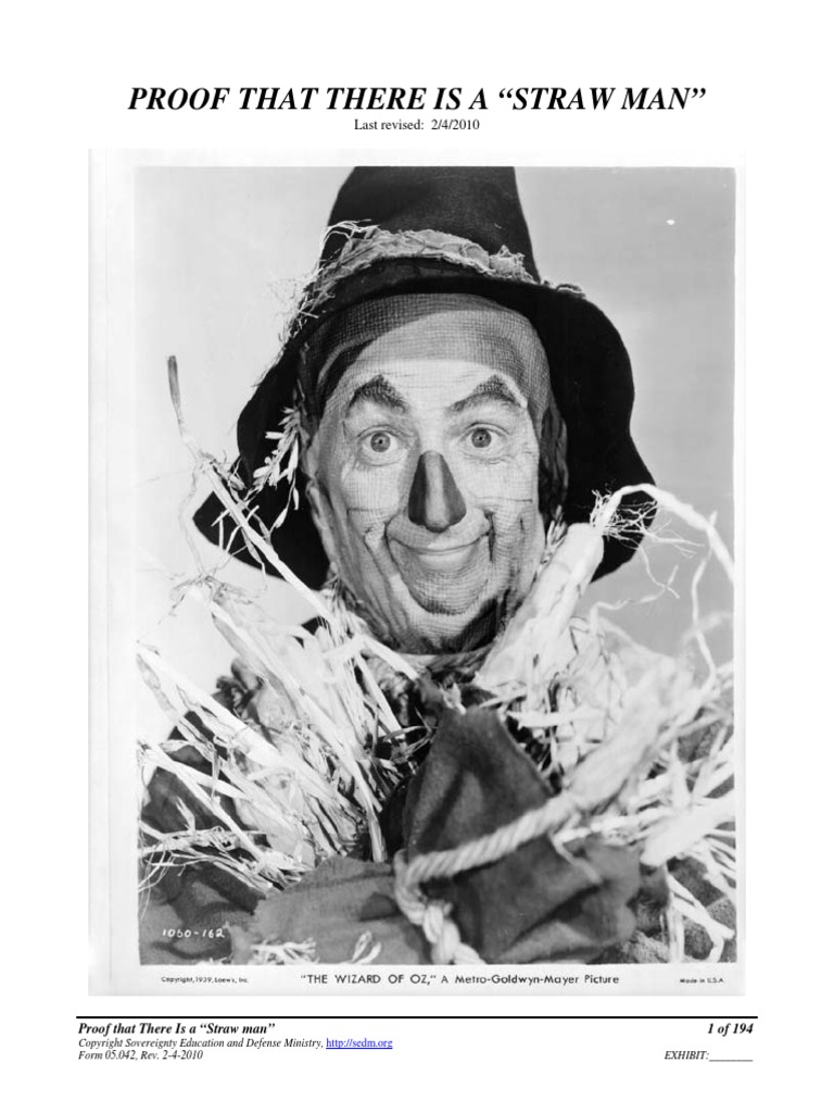 proof-that-there-is-a-strawman-pdf-internal-revenue-service