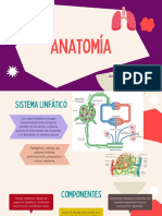 Sistema linfático y sus funciones