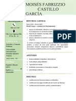 Curriculum Vitae 