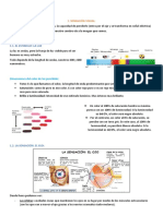 Tema 3 Visión Entero