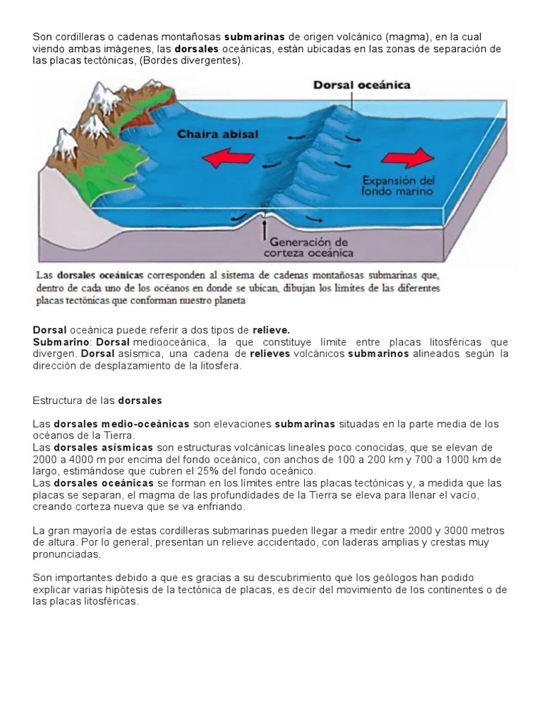 Dorsales 220515 200925 | PDF