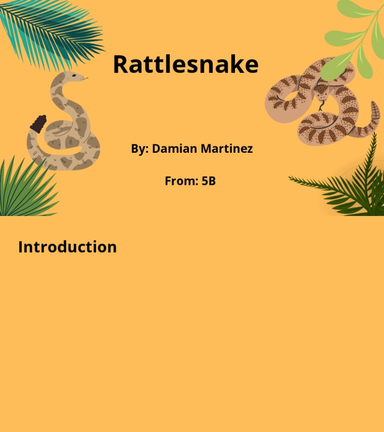 Rattlesnake | PDF