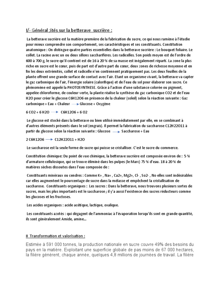 Description Du Procédé de Transformation de La Betterave Au Sucre | PDF ...