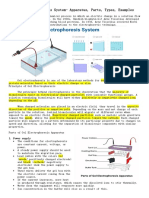 04-Gel Electrophoresis