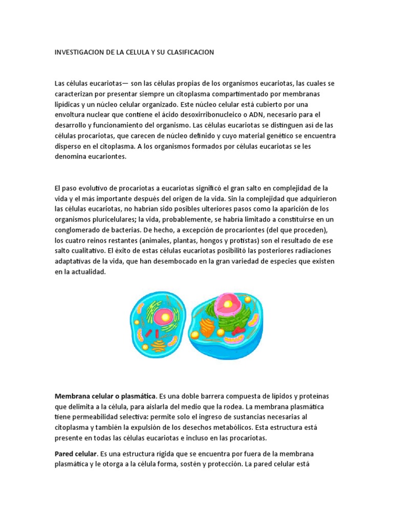 Clasificación y estructura de las células eucariotas | PDF | Biología ...