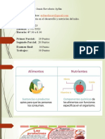 Alimentacion y Nutricion