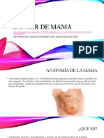 Guía completa sobre cáncer de mama