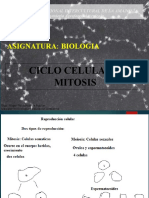 10, Ciclo Celular y Mitosis