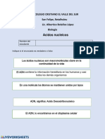 Acidos Nucleicos Tarea