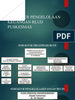 Struktur Pengelolaan Keuangan Blud Puskesmas