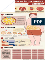 Colesterol, Lipoproteinas