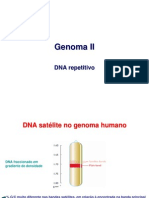 5Genoma II DNArepetitivo