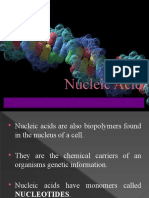 Nucleic-Acid