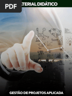 Gestão de Projetos Aplicada