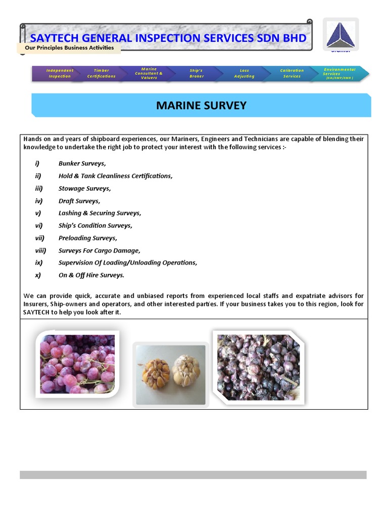 Marine Survey PDF
